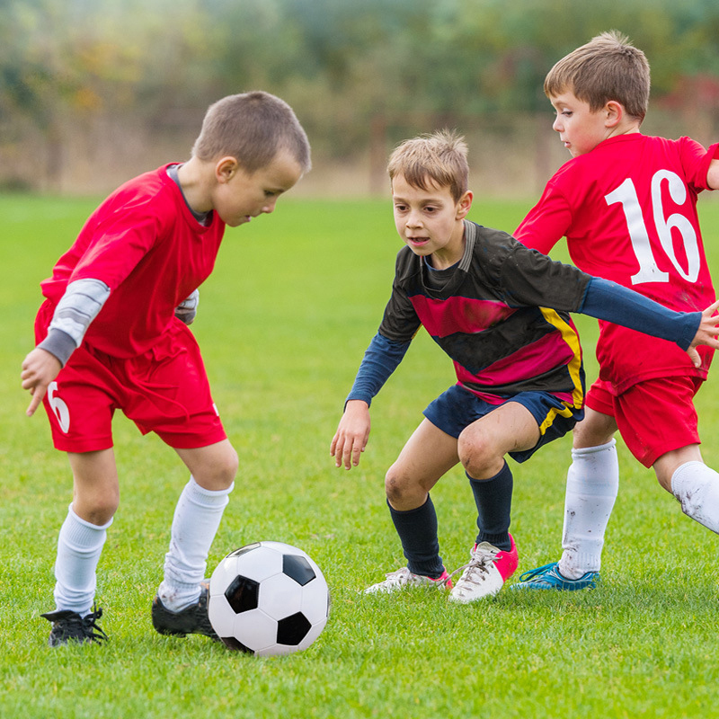 Conjunto de Mini Gol de Futebo - Training Net Mini avaliação e preço